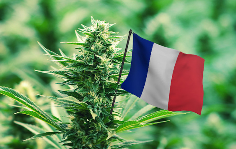 Frankreich: 30 Senatoren fordern die vollständige Legalisierung